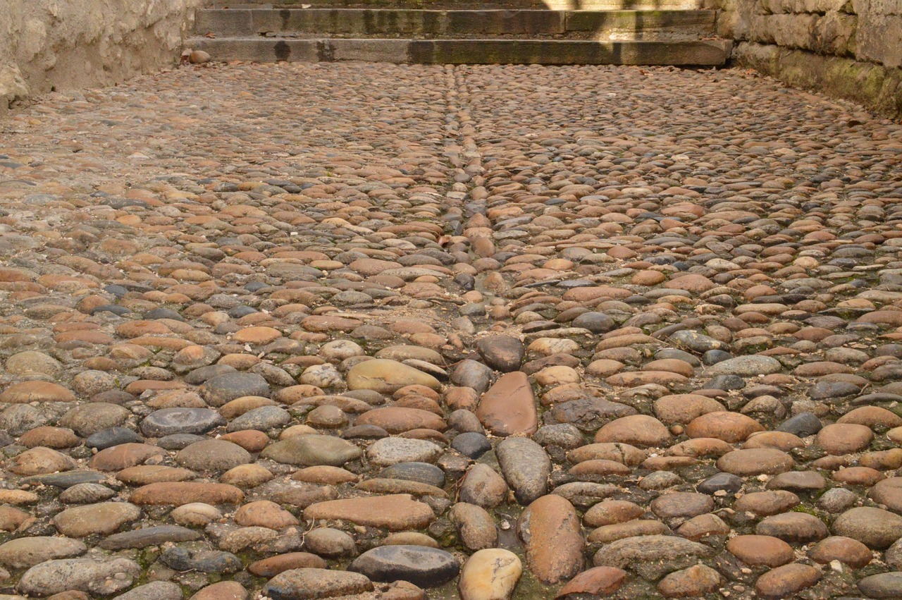 揭阳陈延华,地方领袖的奋进之路最新动态