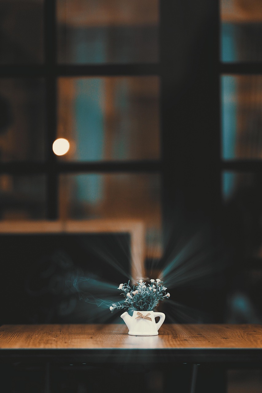 老妇人电影,银幕与生活的深刻洞察之旅