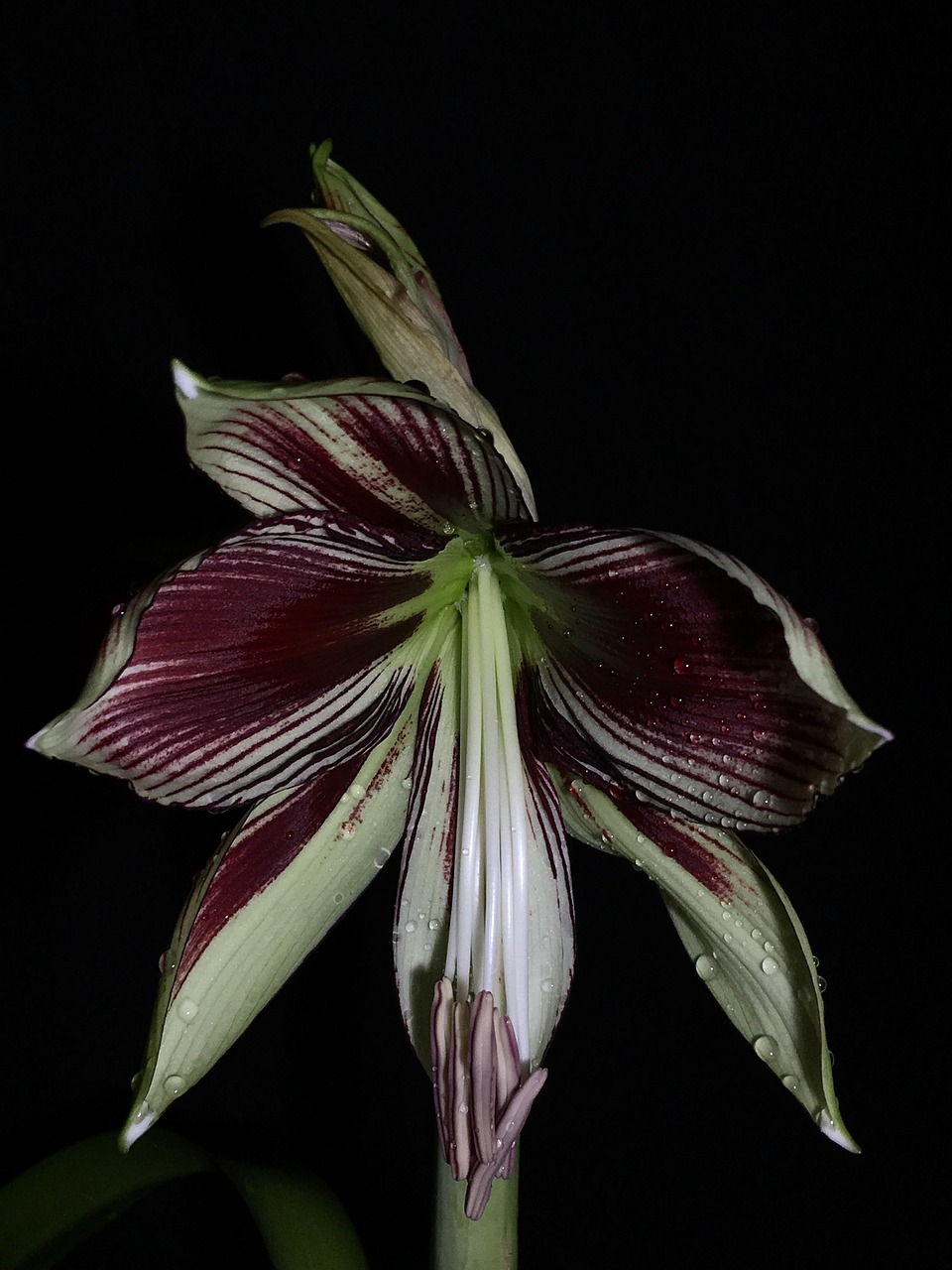 辽宁方大集团迈向高质量发展的坚实步伐最新动态