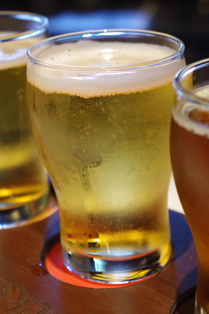 小黄姜最新价格及动态分析概览