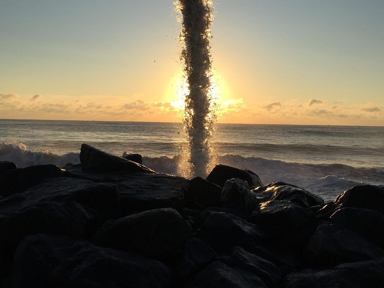 最新手机捕鱼游戏，探索海洋世界的魅力之旅