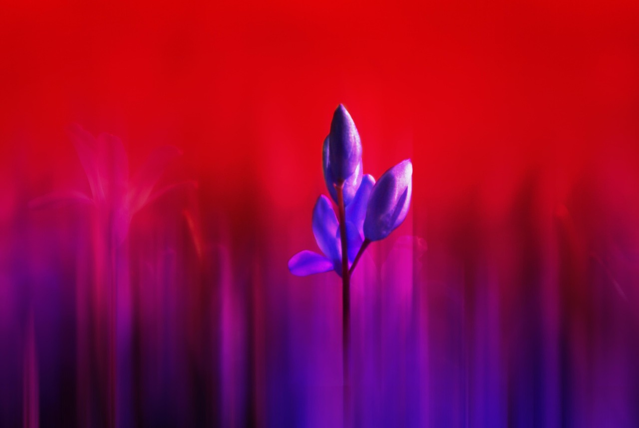 萧萧北风起 第3页