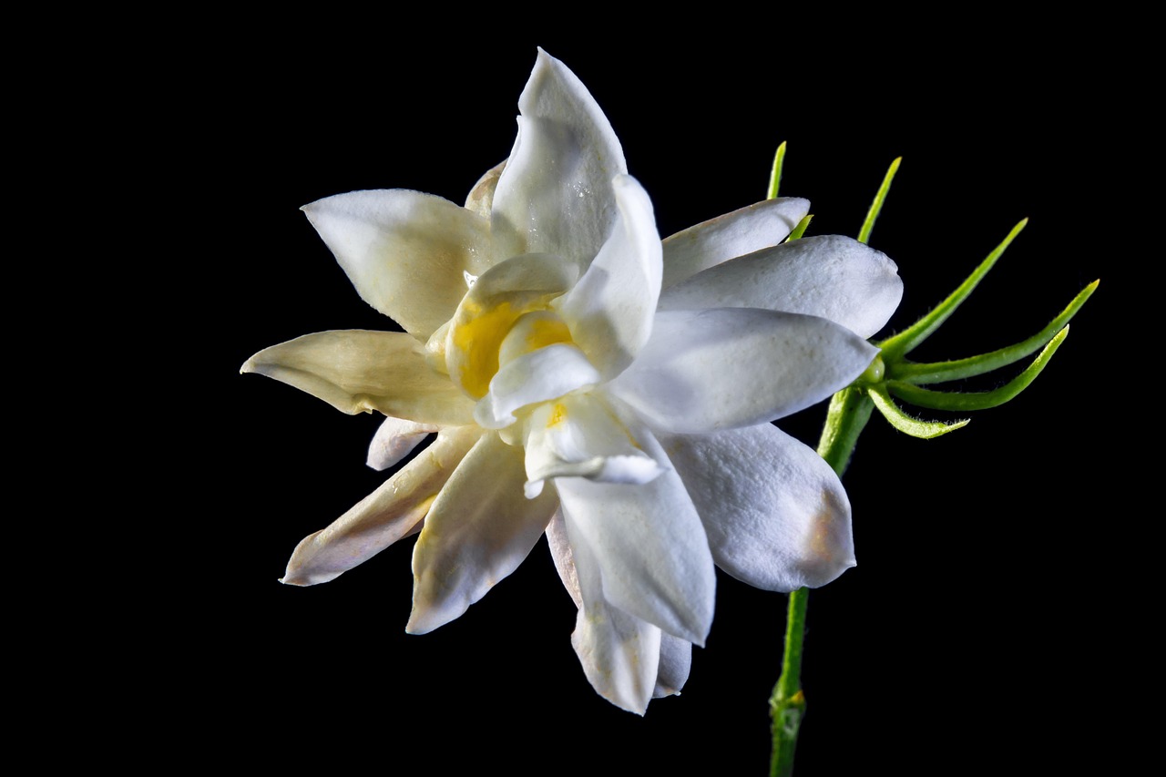 南宫招聘信息概览,职业发展的新天地与招聘动态更新