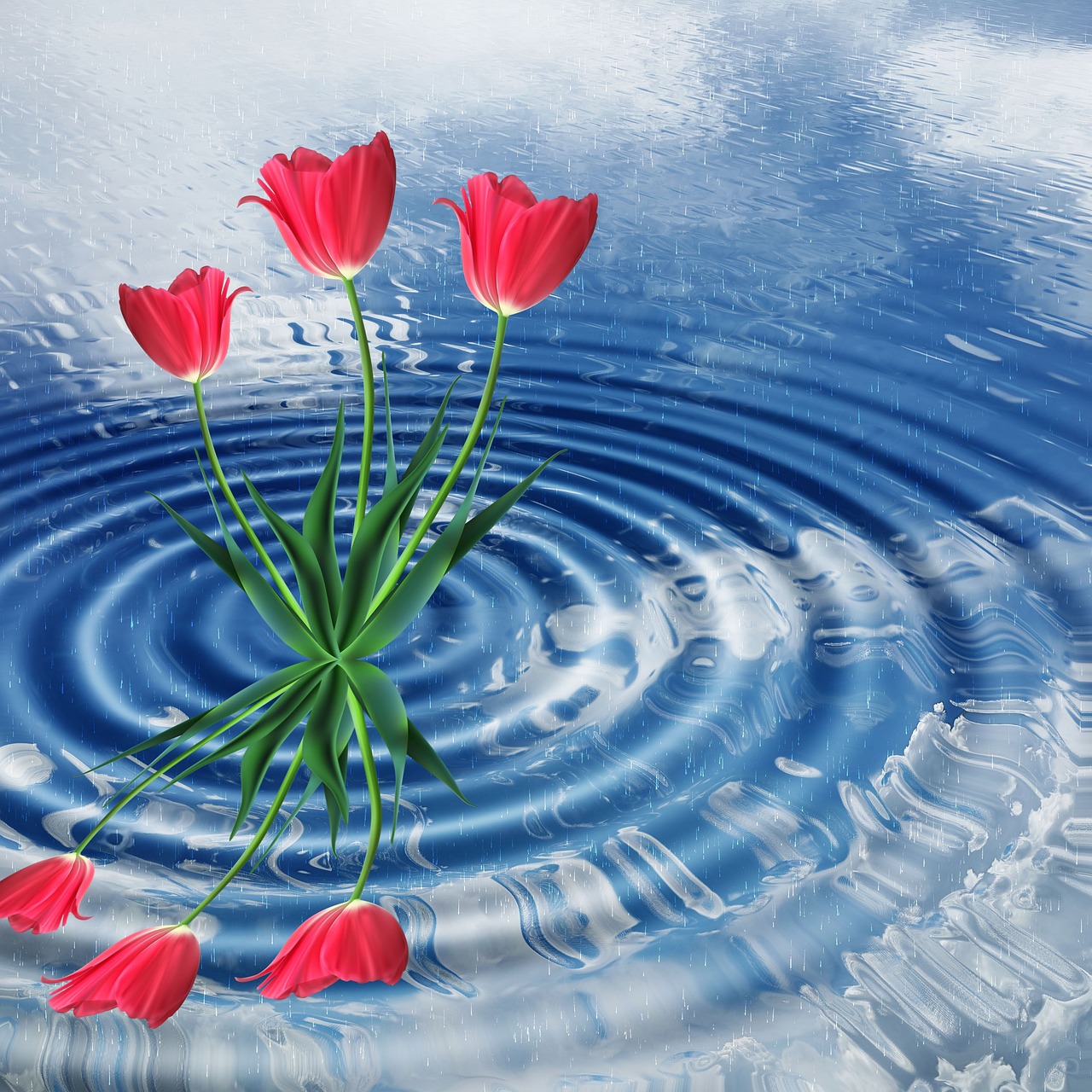 今世缘,期待下一期的重逢