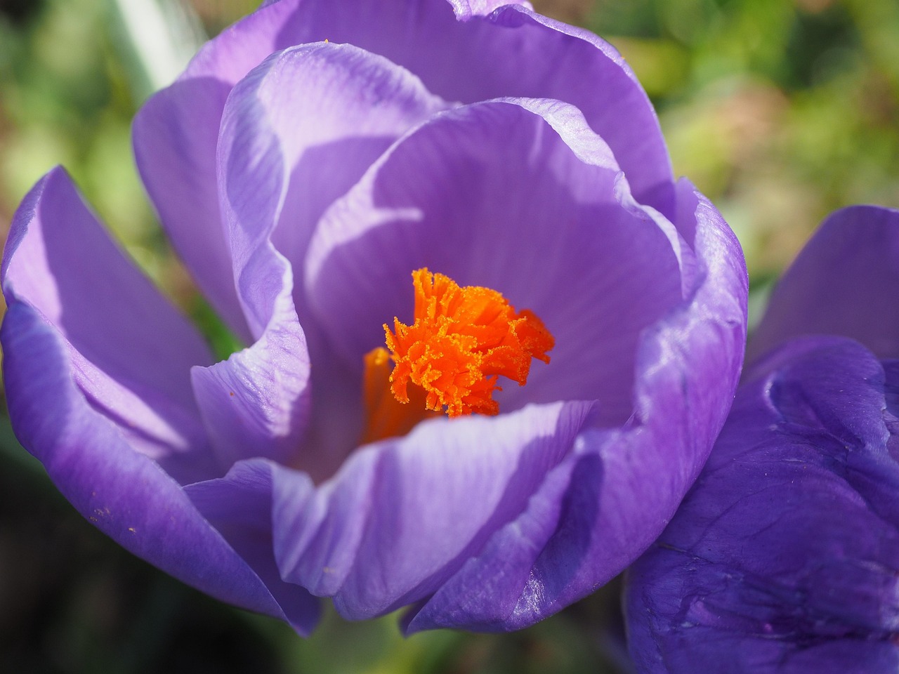 加勒比地区最新动态,揭示最新发展与创新进展