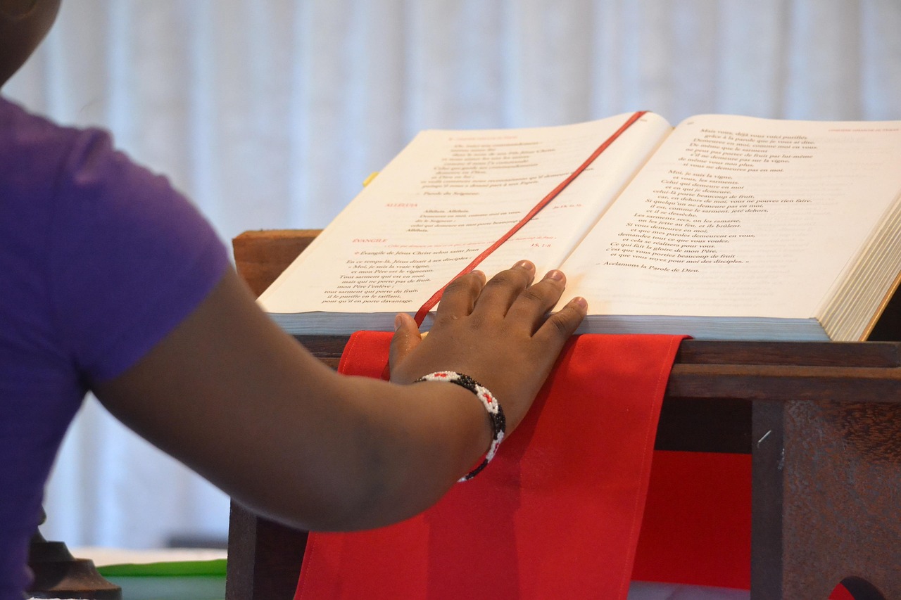 山东生姜最新收购价动态分析与趋势预测