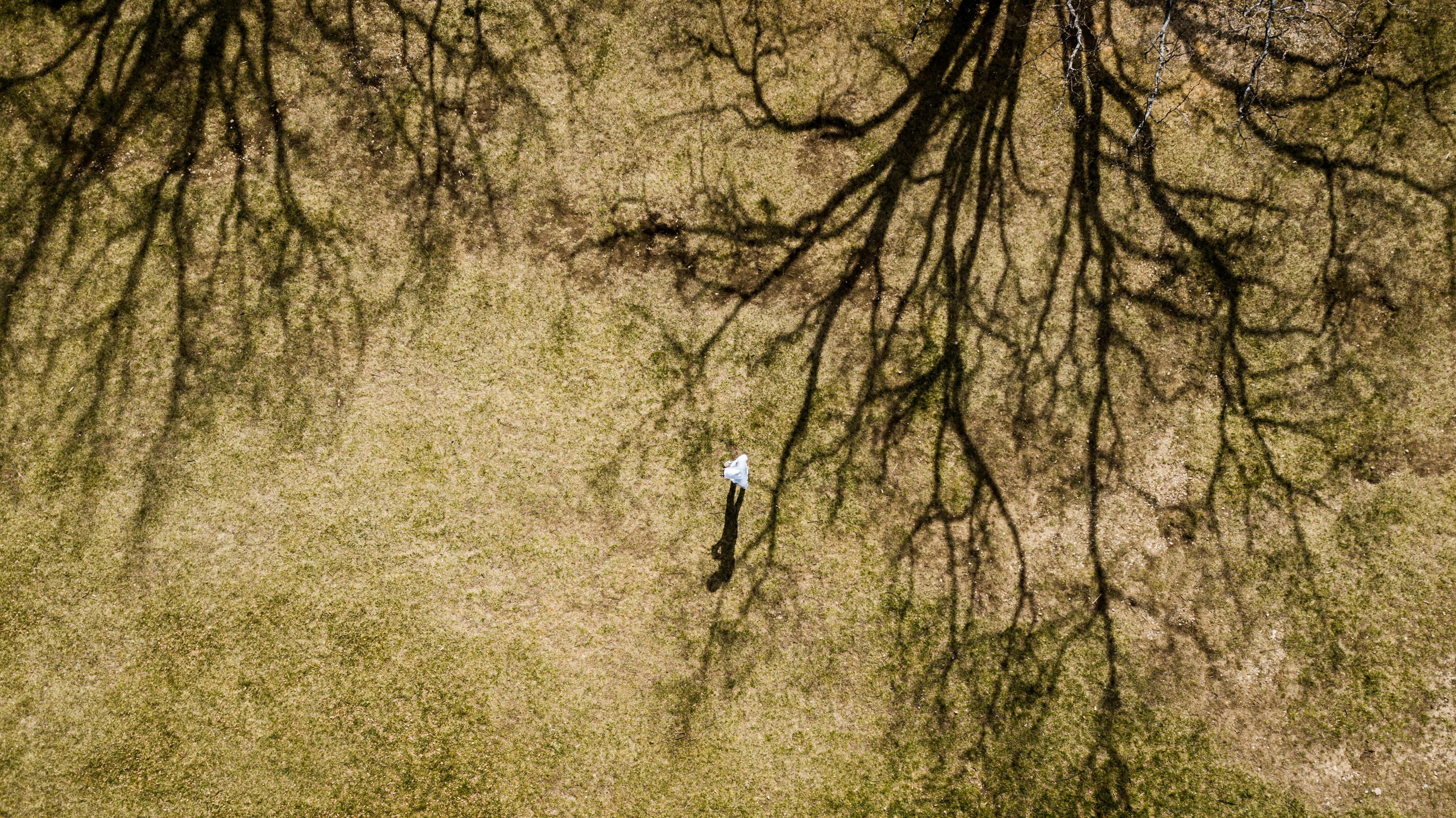 有糖新闻速递,探索糖的世界,掌握最新动态