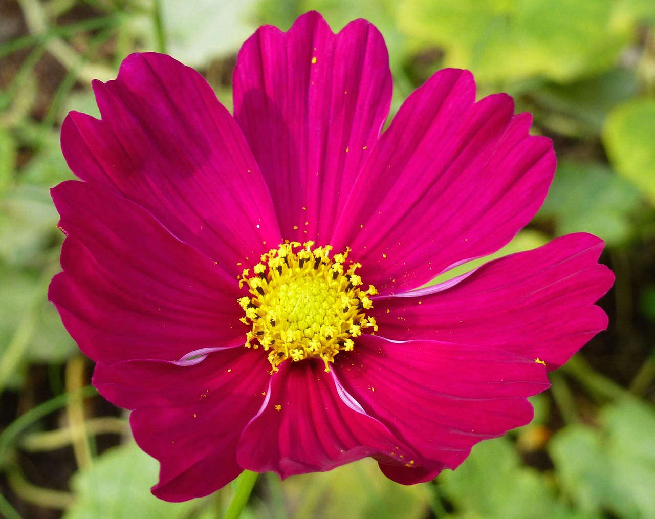 电视剧花开时节演员群像揭秘,花开时节演员表全解析