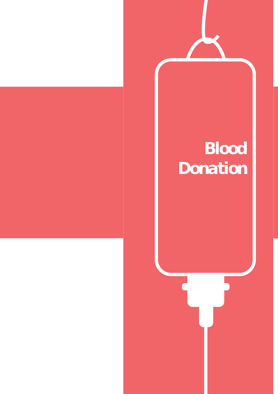 今日辣椒价格最新动态,市场行情一览