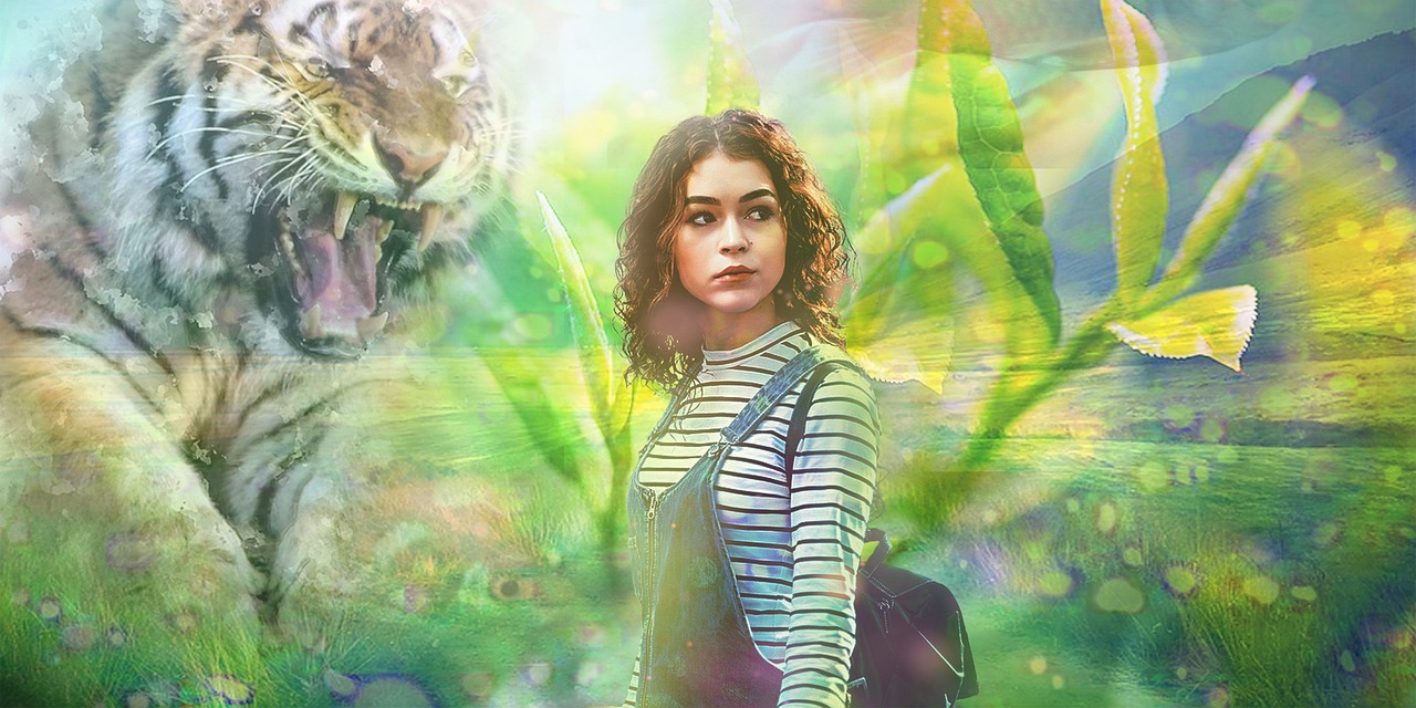 医女倾城,章节更新与故事魅力揭秘