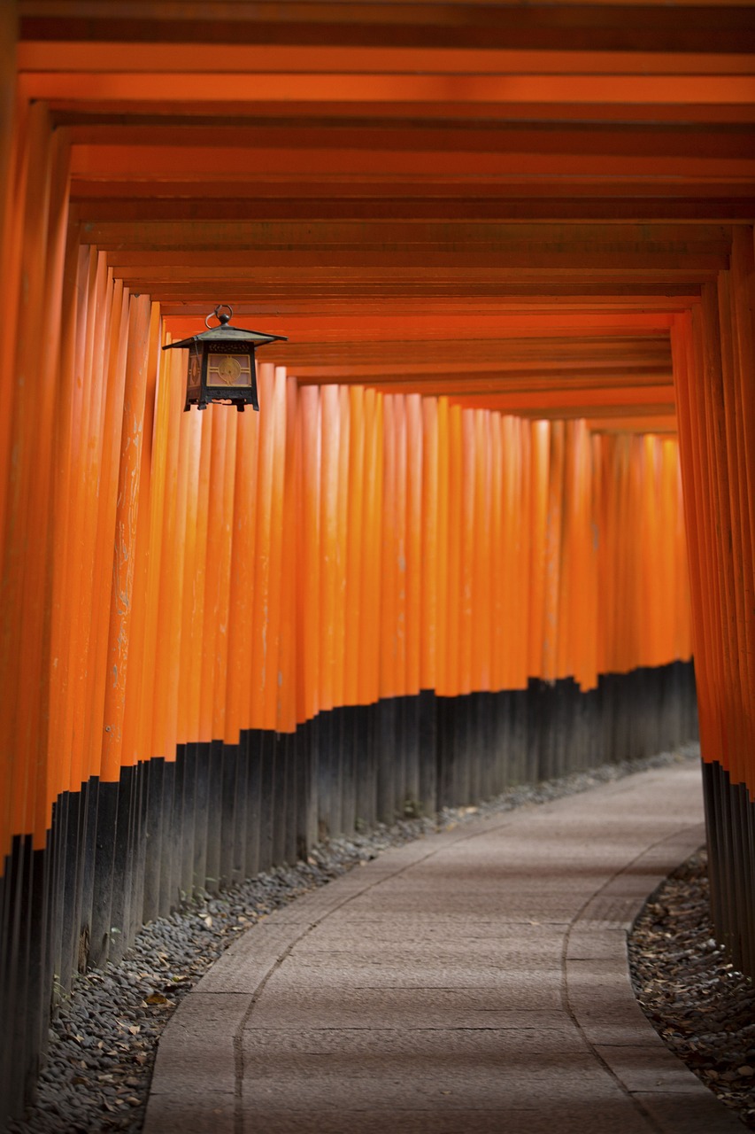 无锡最新招聘动态与趋势分析报告发布