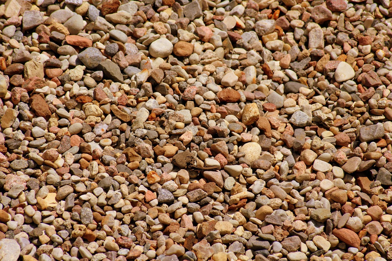 模树石价格深度解析,市场趋势与影响因素探讨