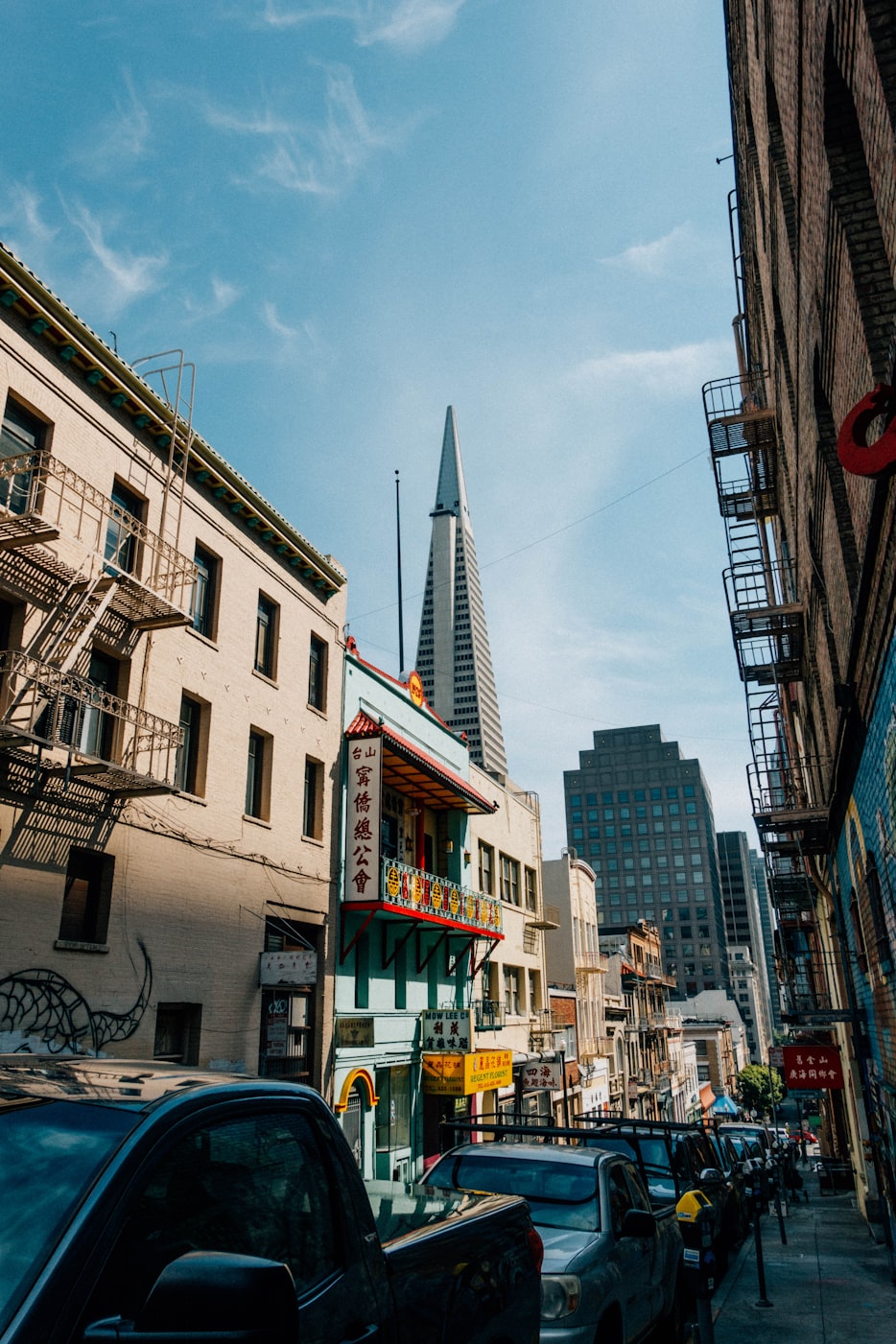 南通城市发展的蓬勃活力与多元魅力,最新新闻消息汇总