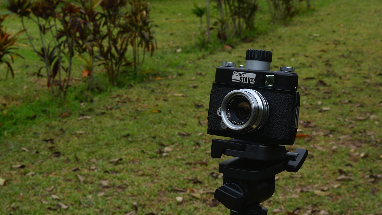 黄海冰影视、舞台剧与公益活动全面开花,最新动态揭秘