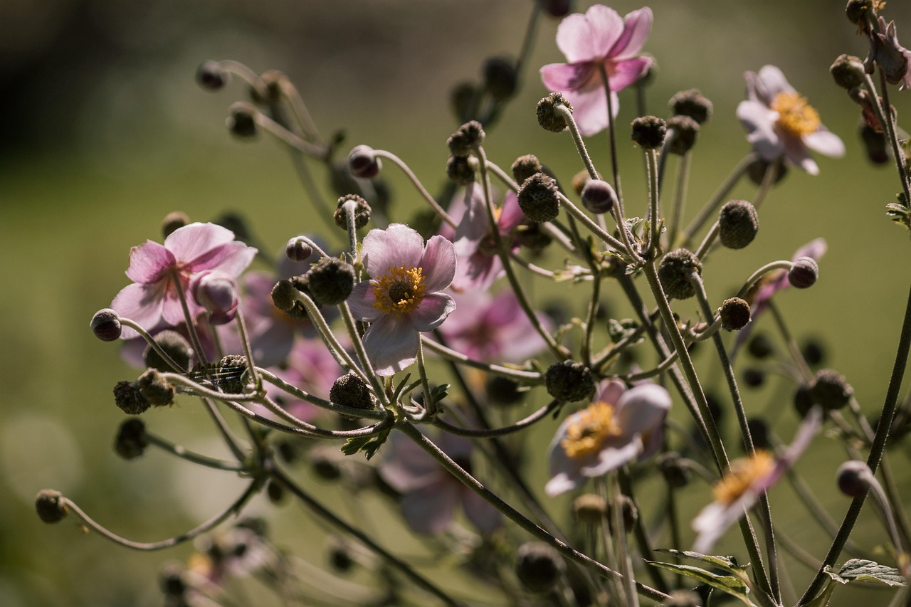 淮北油价最新动态,最新油价信息及影响分析