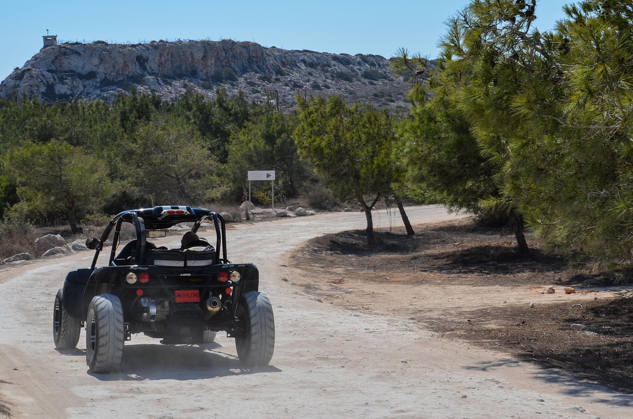 闪电麦昆电影,速度与激情的绝佳融合之旅