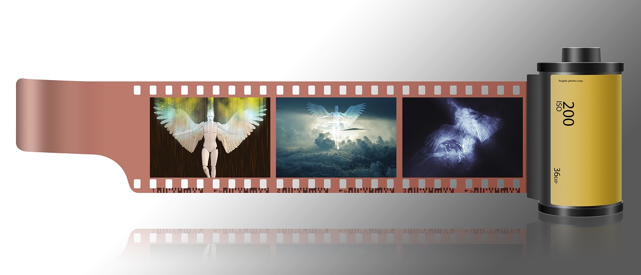 飞天公棚最新通告详解,全新动态与解析