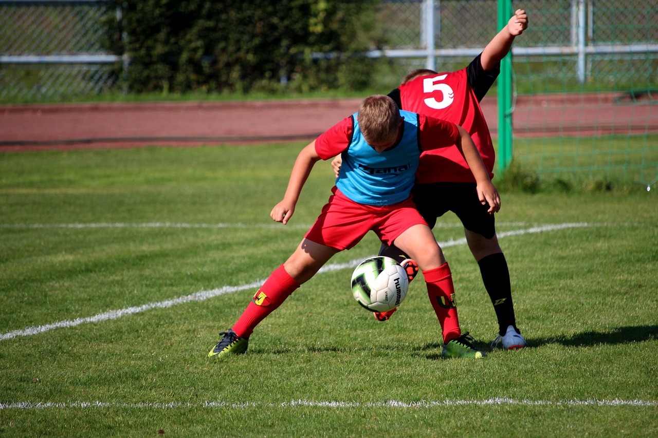 明星保卫战,粉丝、团队与公众的联合守护责任