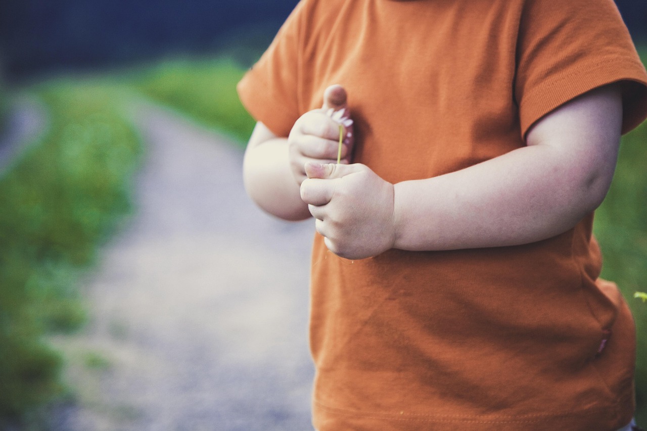 中国安芯引领国产芯片产业迈向新高度,最新动态揭秘