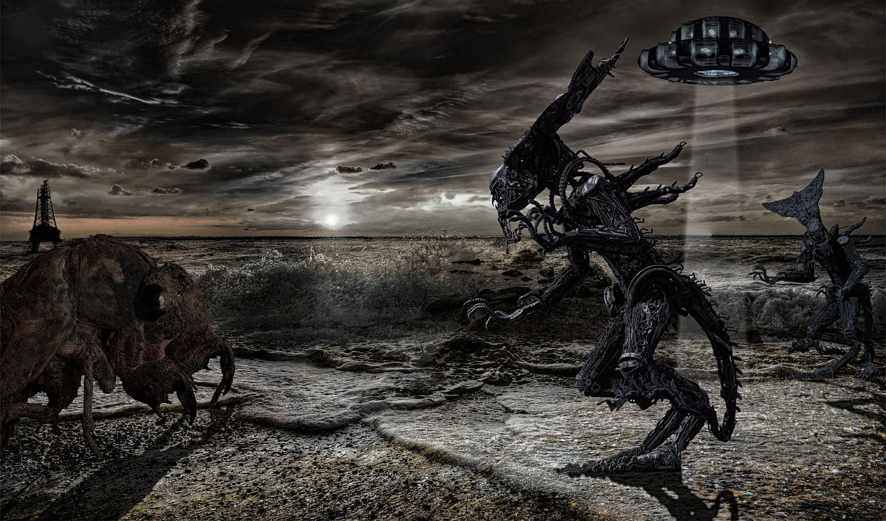 跨越次元的奇幻之旅,新妹魔王的契约者动漫解析与赏析