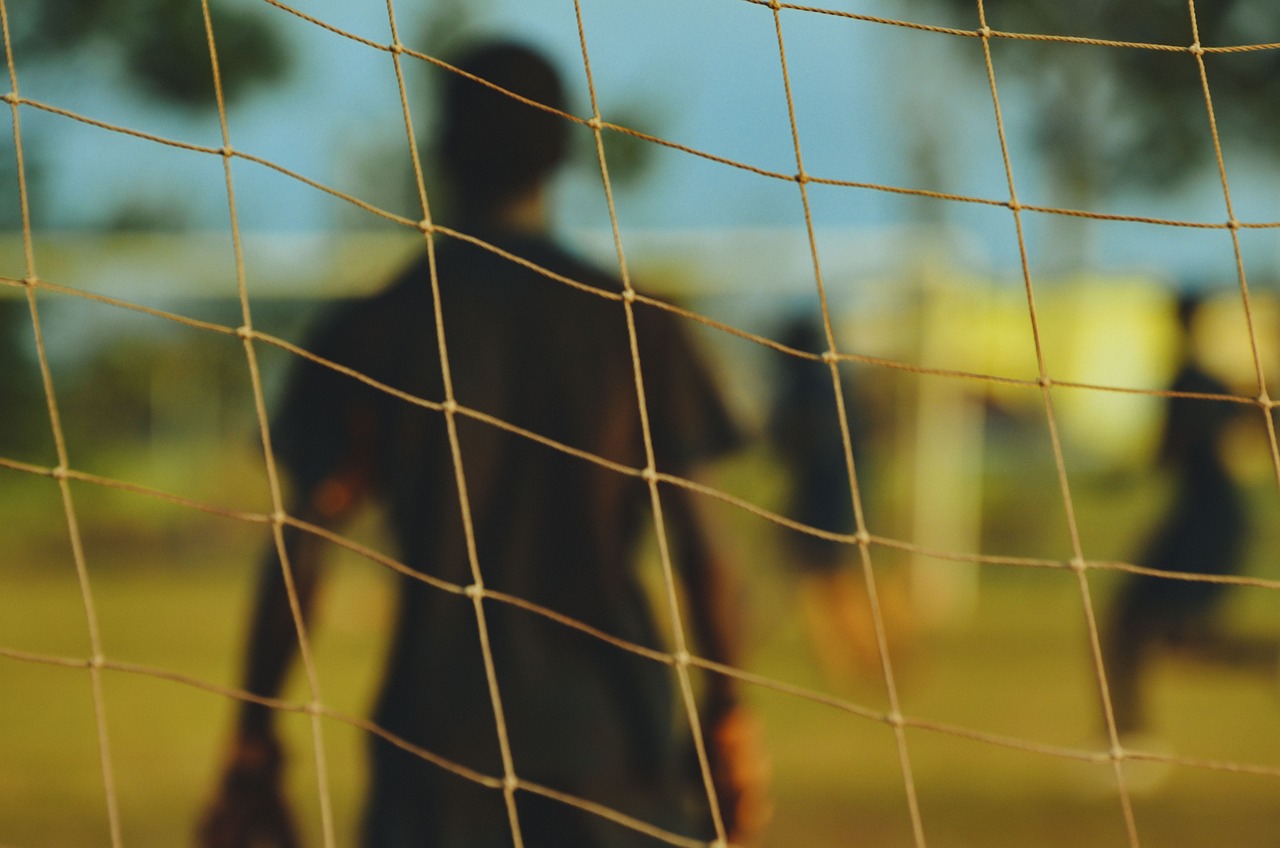 探寻语言魅力,句子的美妙与语言之美