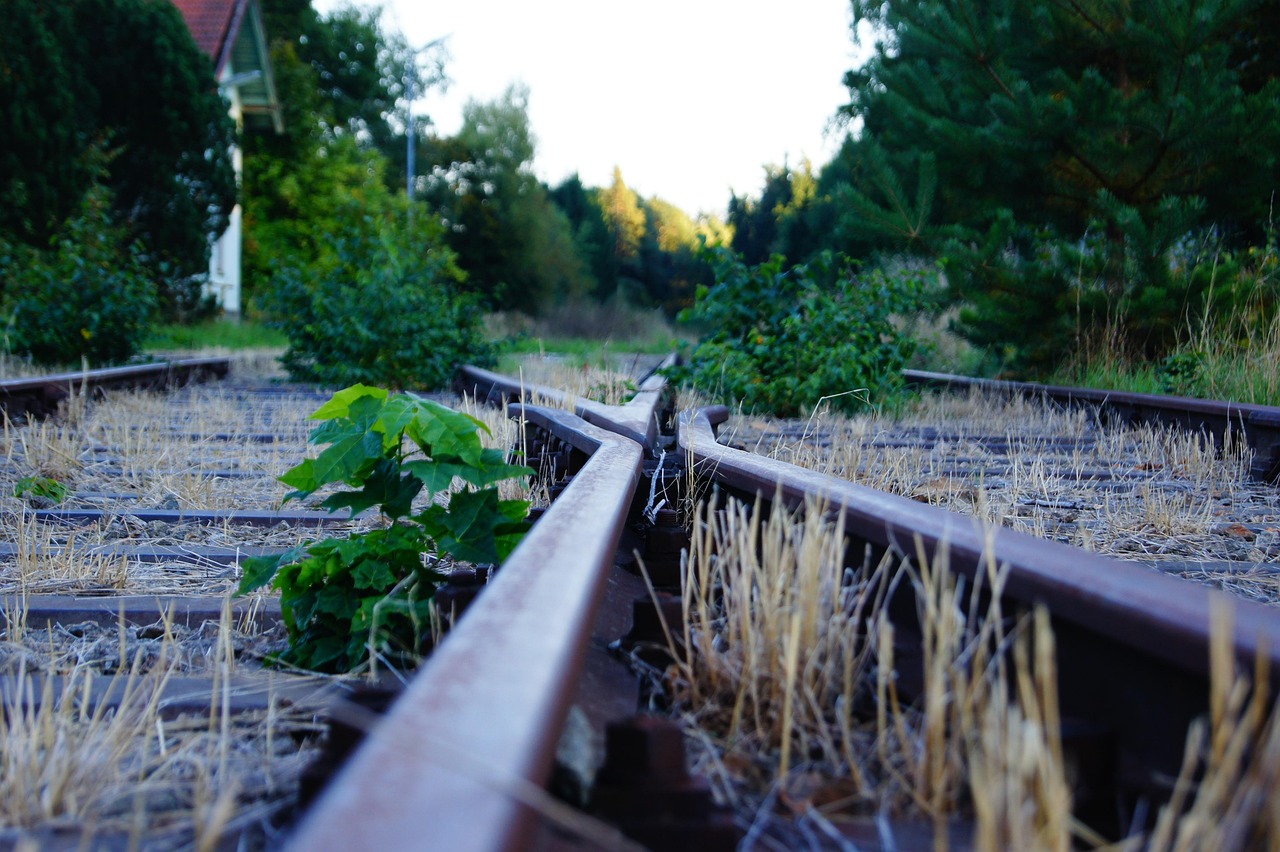 广东新增病例最新动态,全面防控与积极应对的积极应对之道