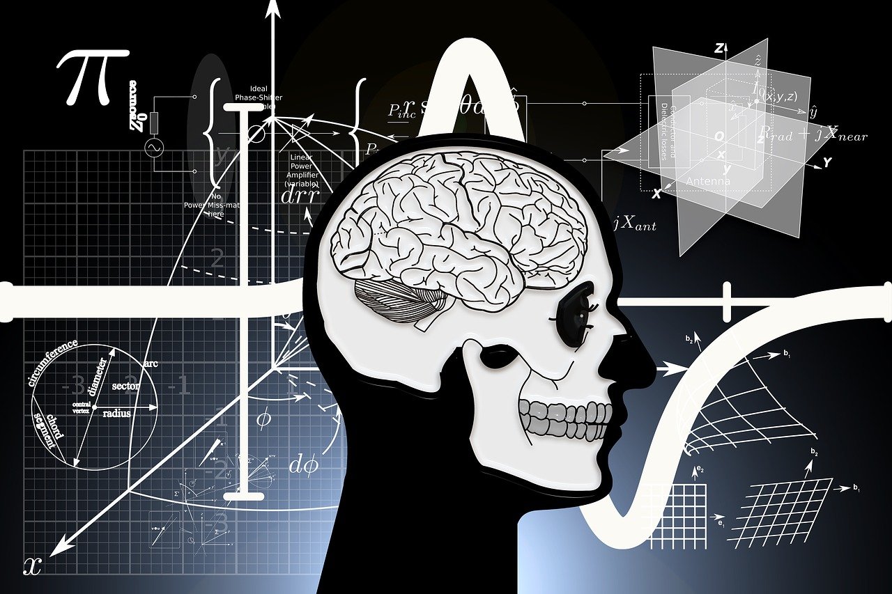 韩国最新恐怖片的惊悚魅力与元素探究