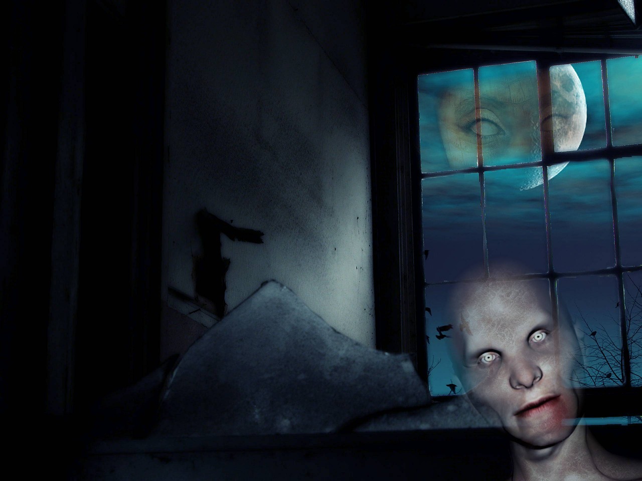 韩国最新恐怖片的惊悚魅力与元素探究