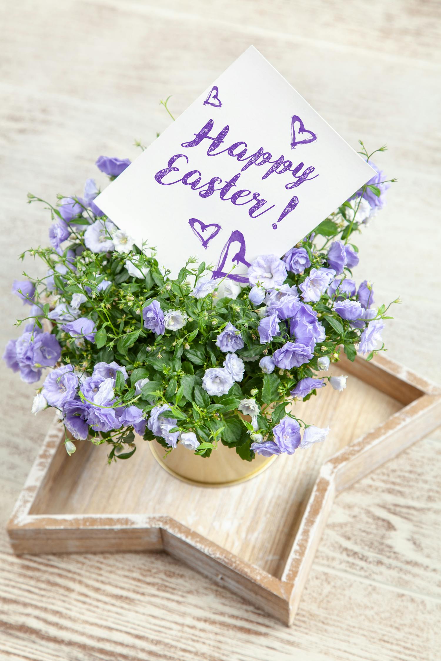 动漫头像网名,个性情感的独特表达与创意网名选择