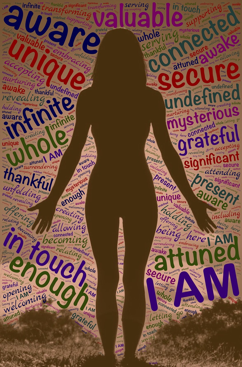 西藏秘密,演员们的独特演绎之旅