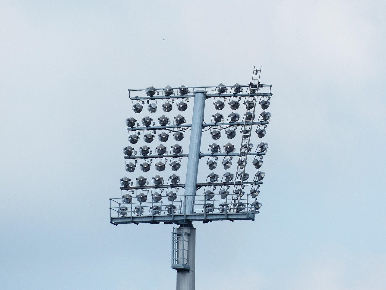 全国肺病最新动态,研究、治疗与预防的进展综述