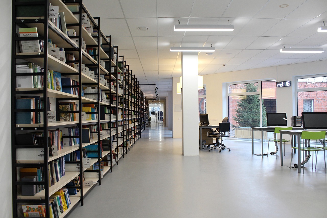 文化与虚拟空间的交融,内衣办公室动漫在线观看体验