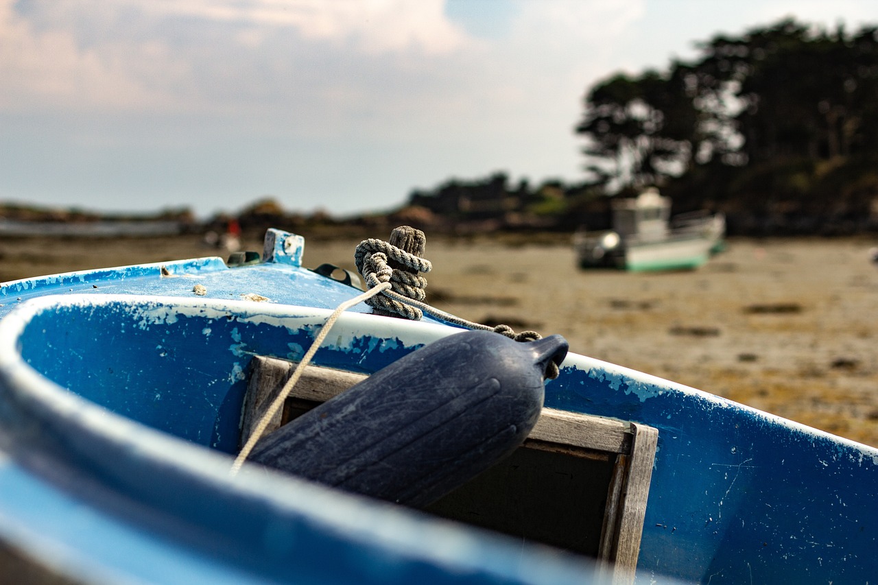 陕西最新疫情动态全面应对,守护家园安宁安全