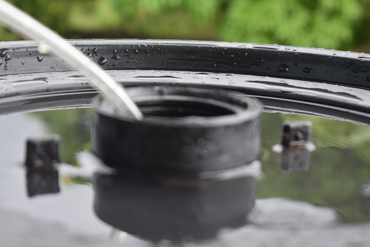 滨海人才招聘信息更新与趋势分析,最新人才招聘动态及洞察