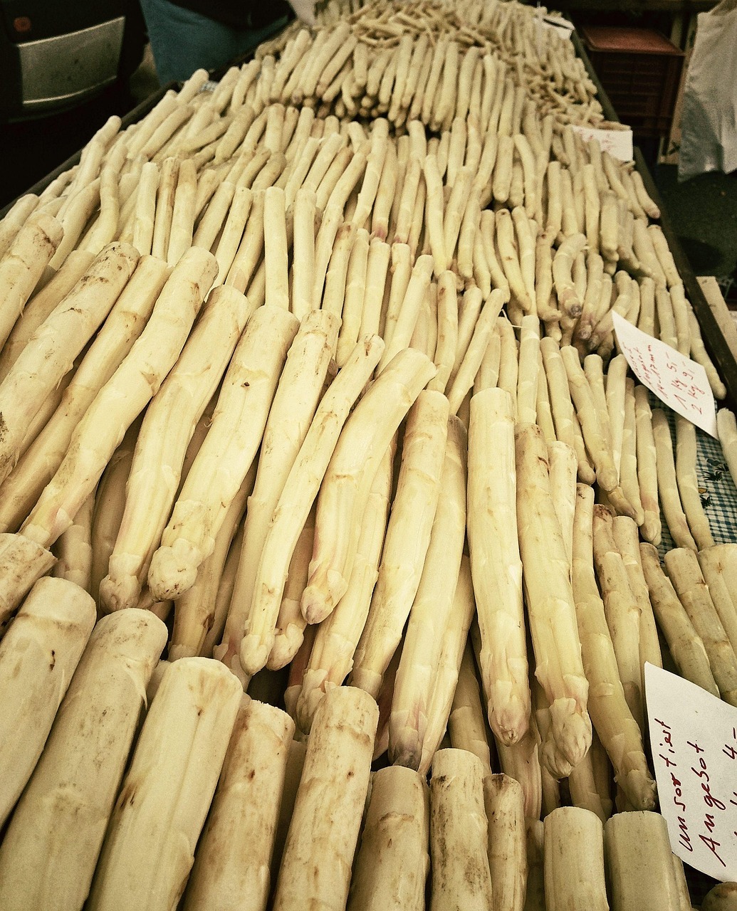 芦笋的季节盛宴,上市时间与美味探索