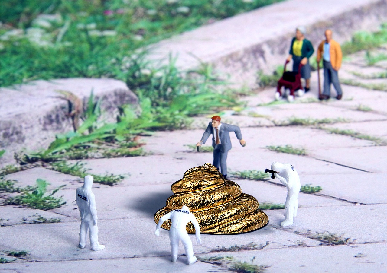 最新水泥猪饲料槽图片及其在现代畜牧业的运用