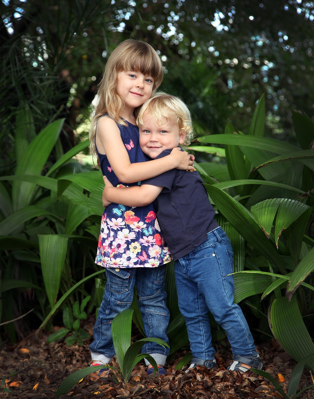 日本兄妹动漫,情感与生活的独特视角探索