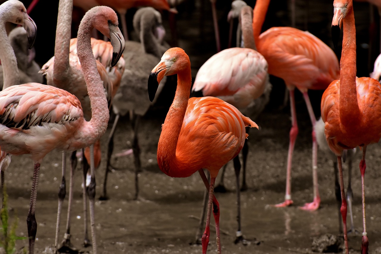 邵阳房价最新动态及市场走势分析与预测