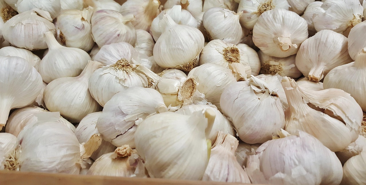 蒜头最新价格及动态分析概览