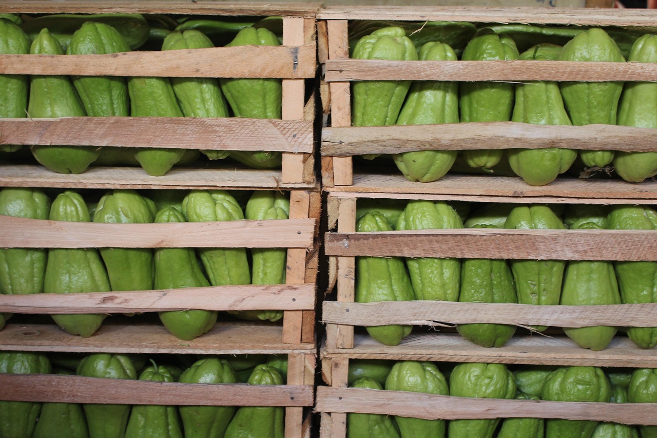 固始新鲜资讯,探寻城市发展的脉搏动态