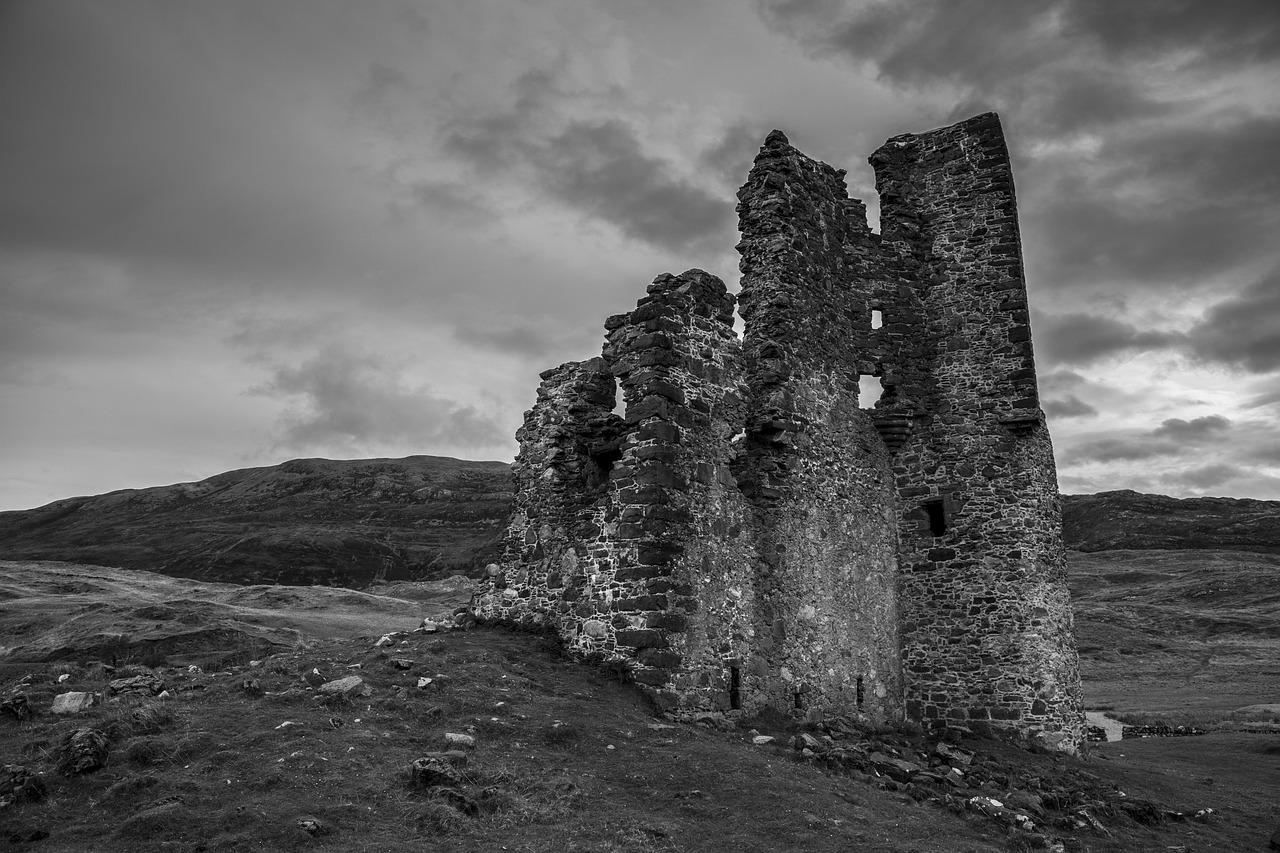 谢霆锋家庭最新动态,温馨亲子时光与成长里程碑