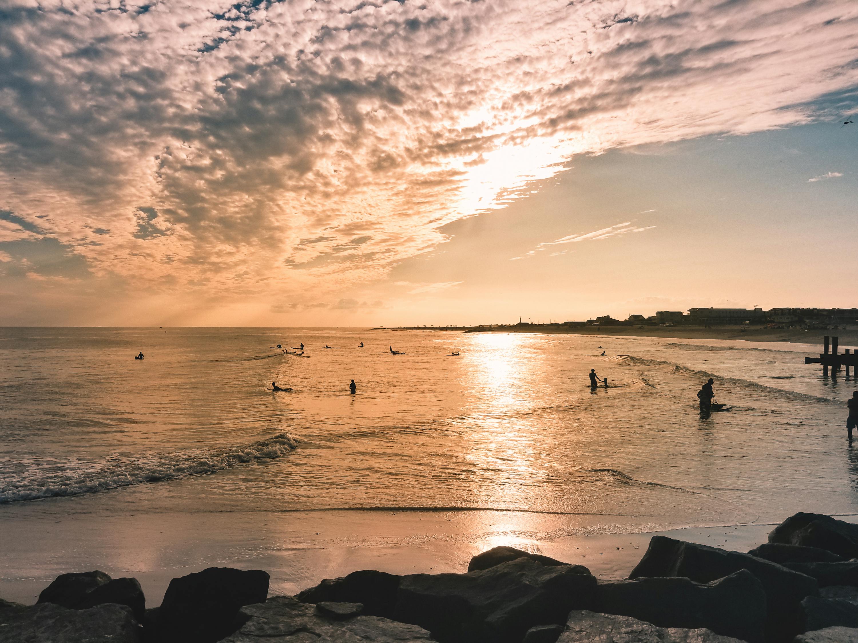 最新青柠,独特魅力与价值探索