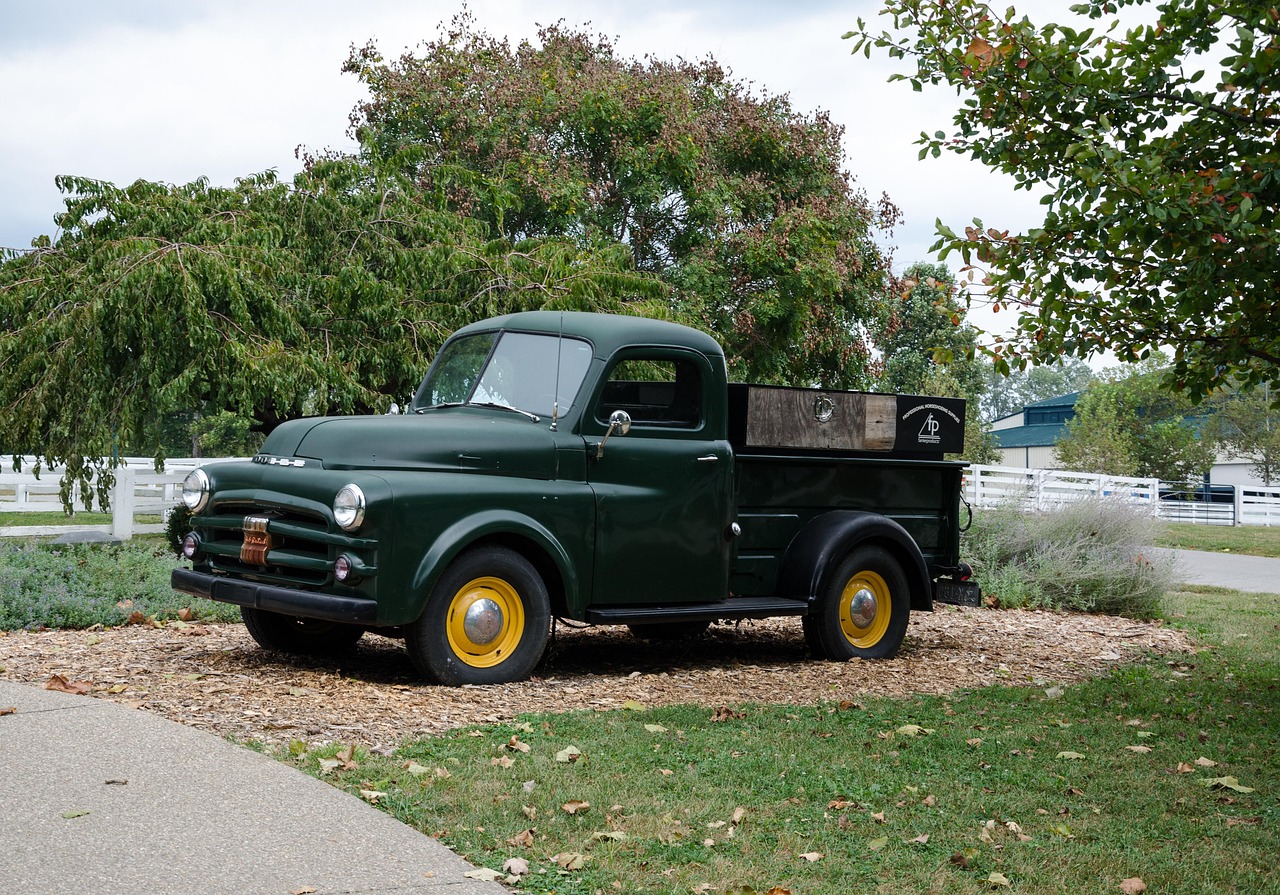 2025年10月7日 第2页