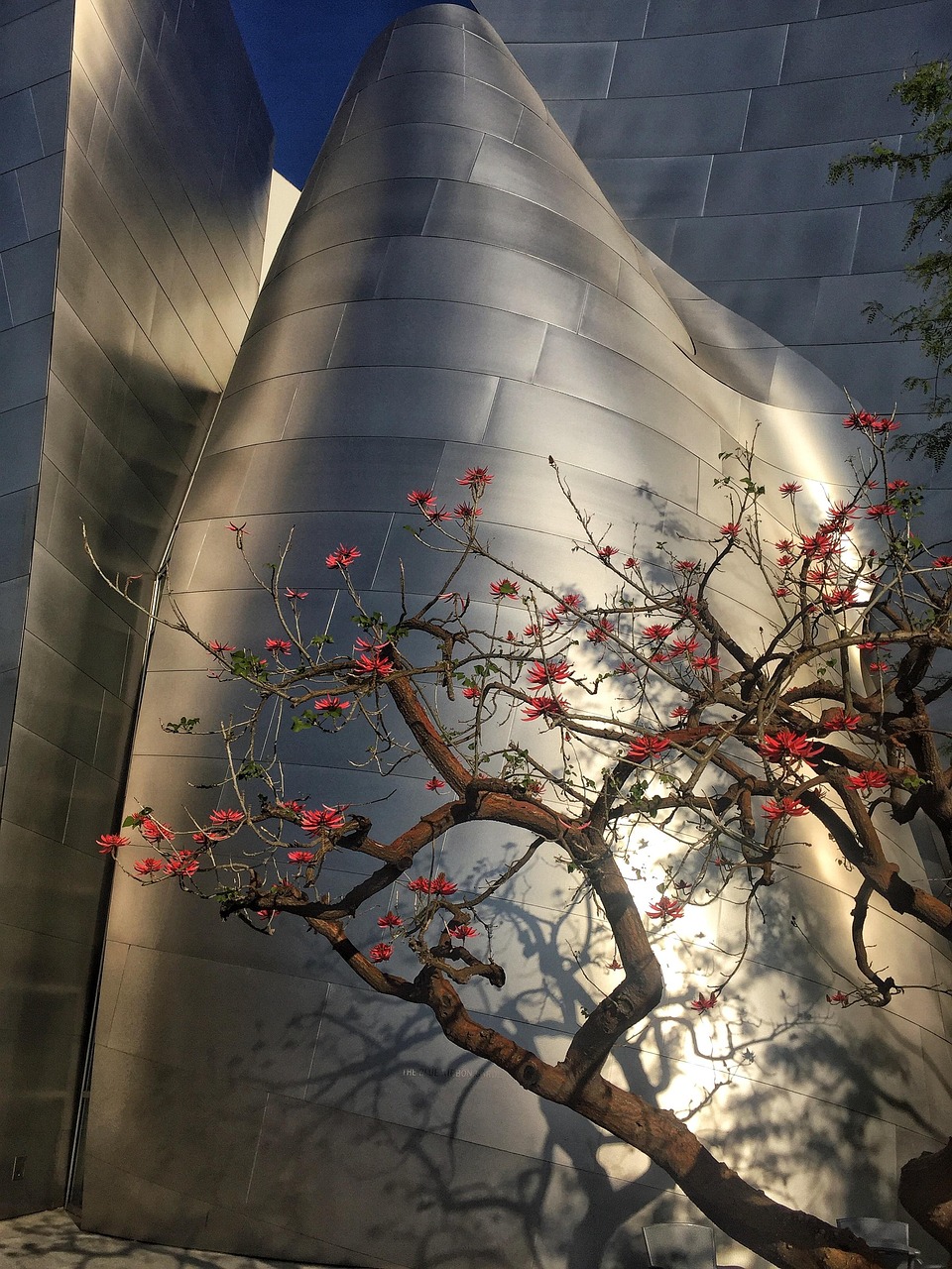 临沂河东规划最新动态,塑造未来城市的蓝图展望