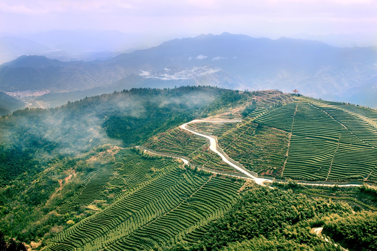 伊春最新资讯网,林区信息新时代的领航者