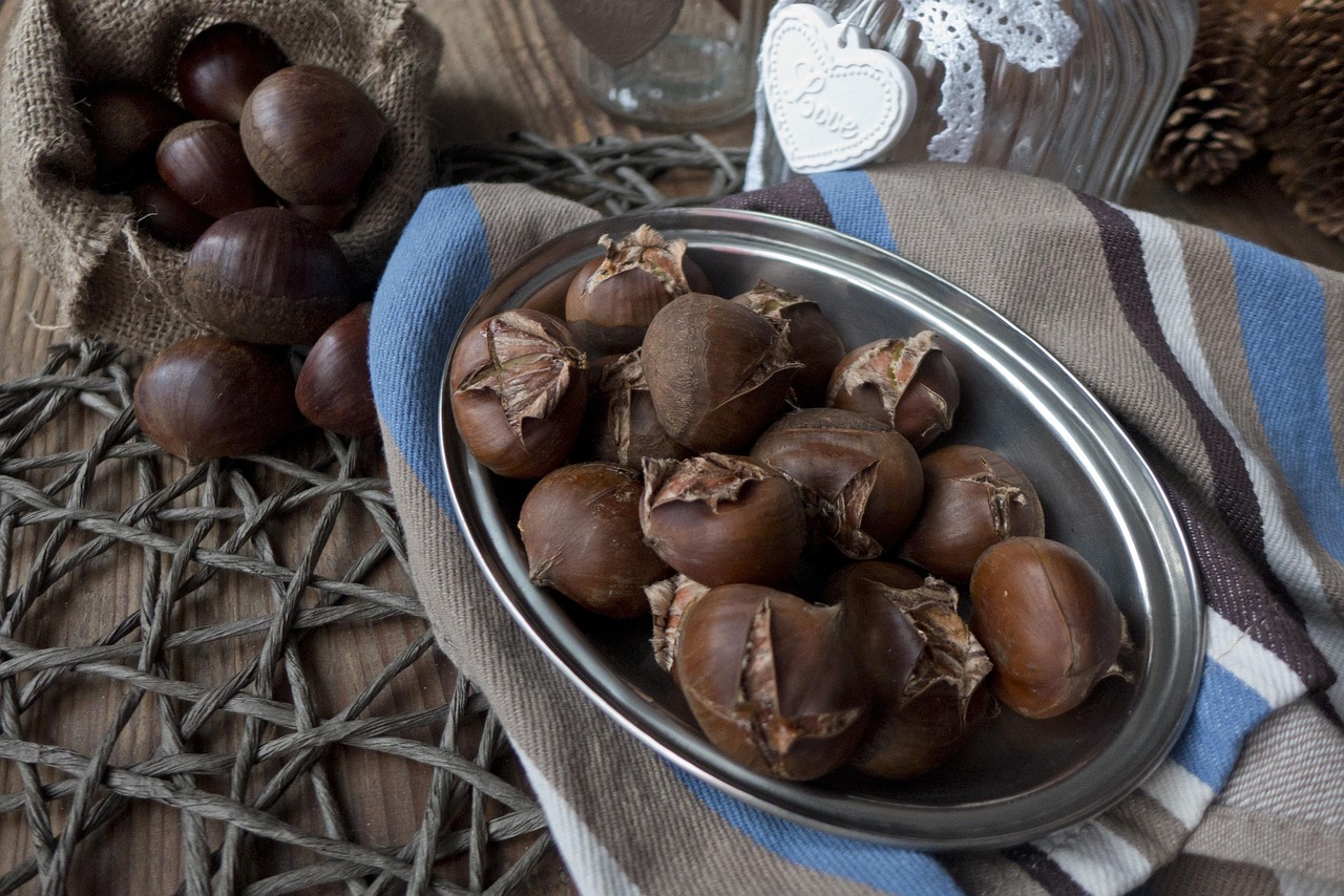 探寻丹东板栗上市季节,揭秘美味背后的时间秘密