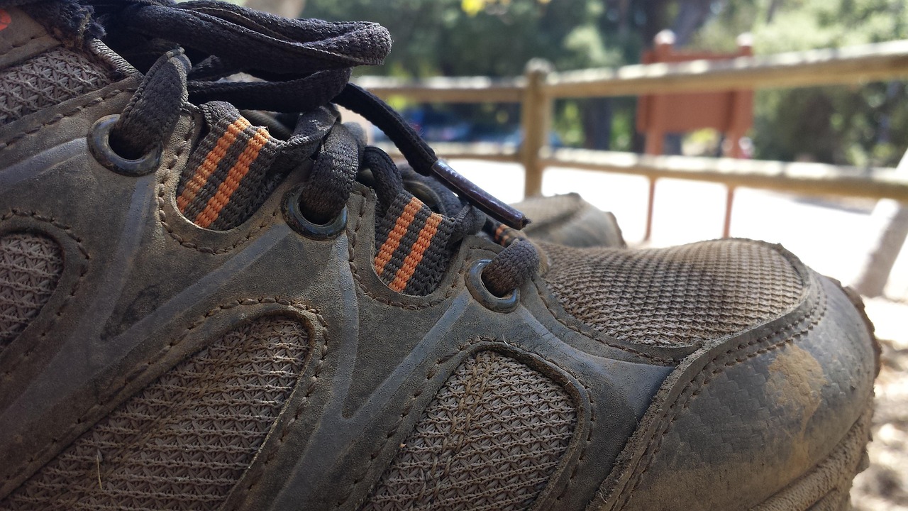 权健运动鞋价格及图片介绍大全