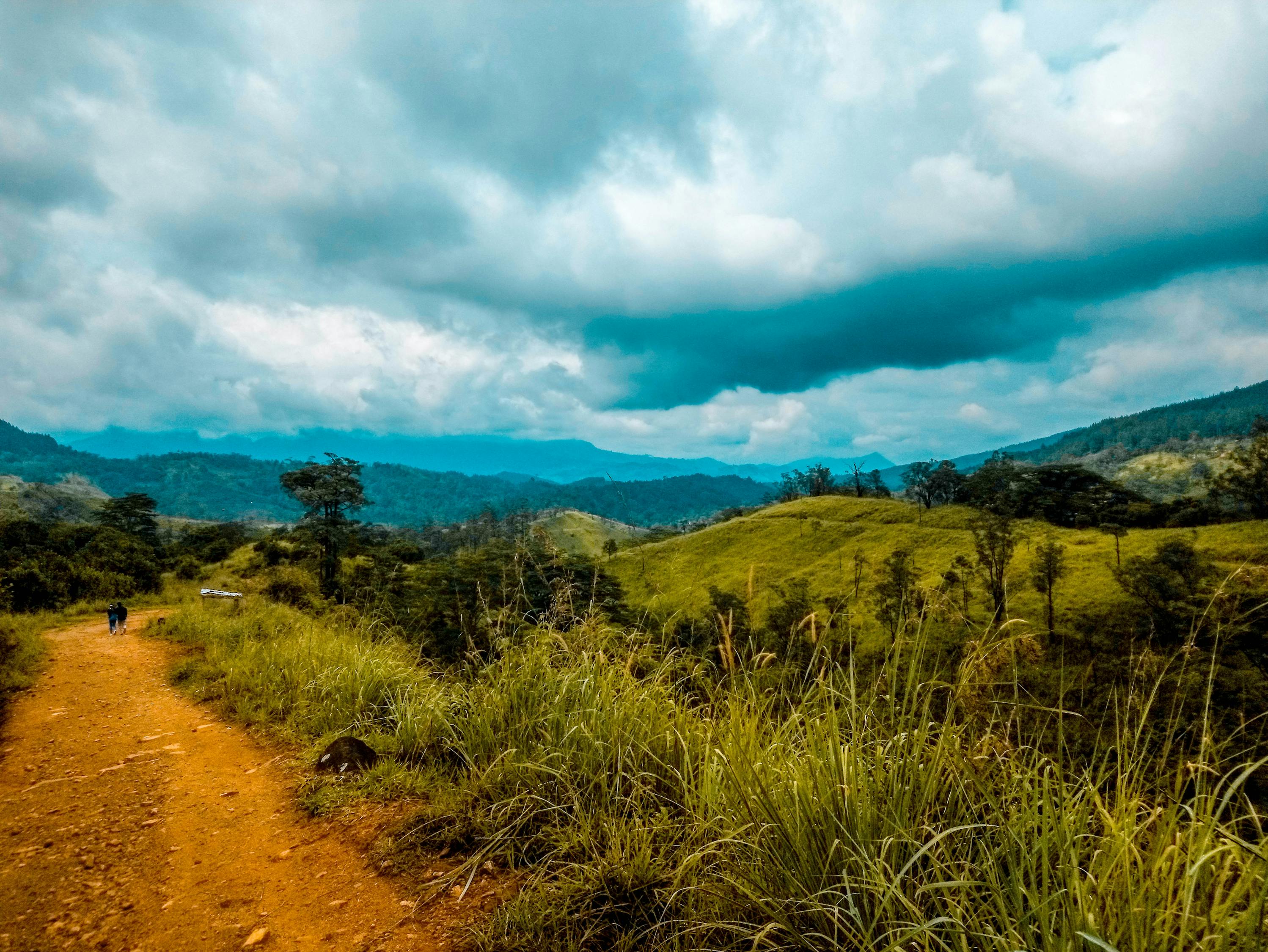 野狼谷电视剧,探索自然与人性的力量之旅