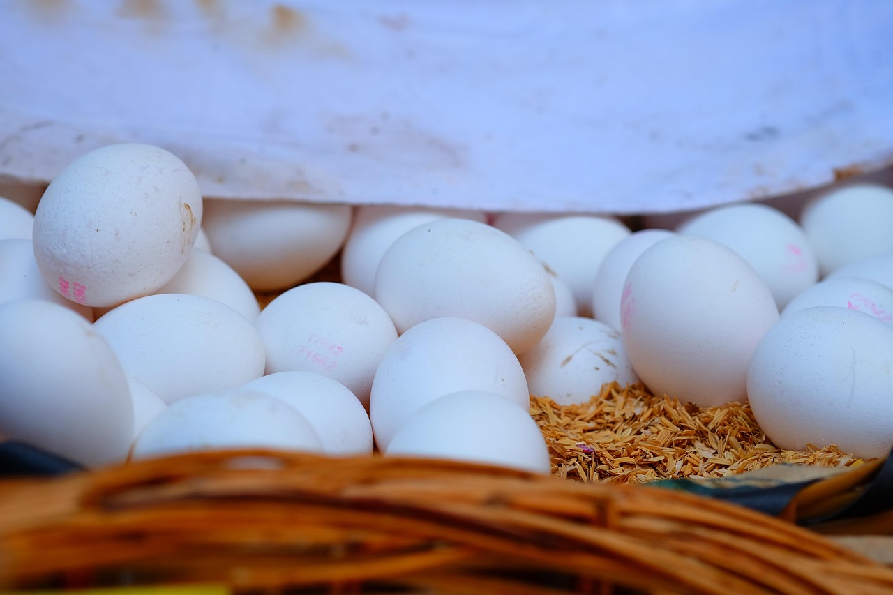 蓟县鸡蛋价格动态分析,最新行情与趋势探讨