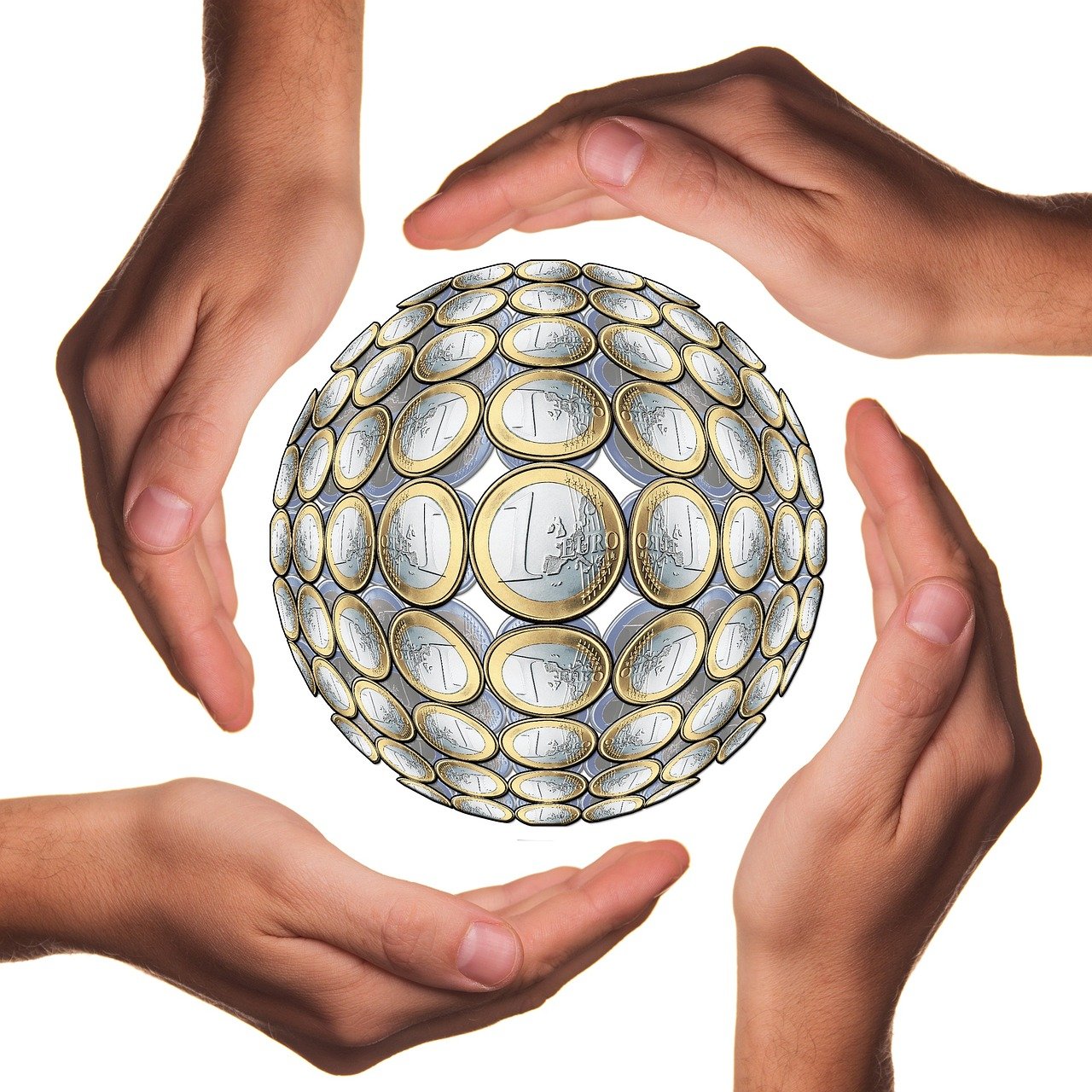 今日高粱行情深度解析与预测